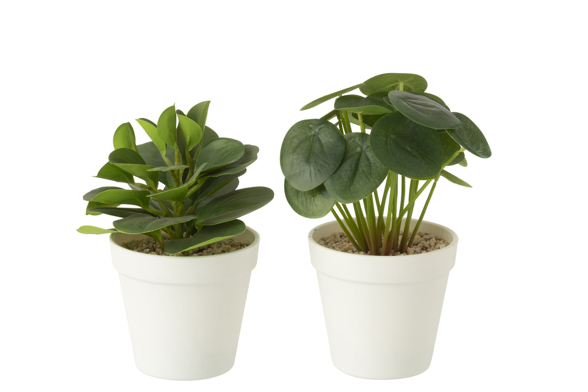J-Line plant in pot - kunststof - groen - 2 stuks