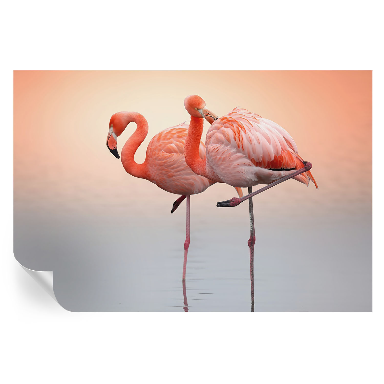 Samoprzylepna tapeta Delikatne flamingi 104x70 Wallfluent