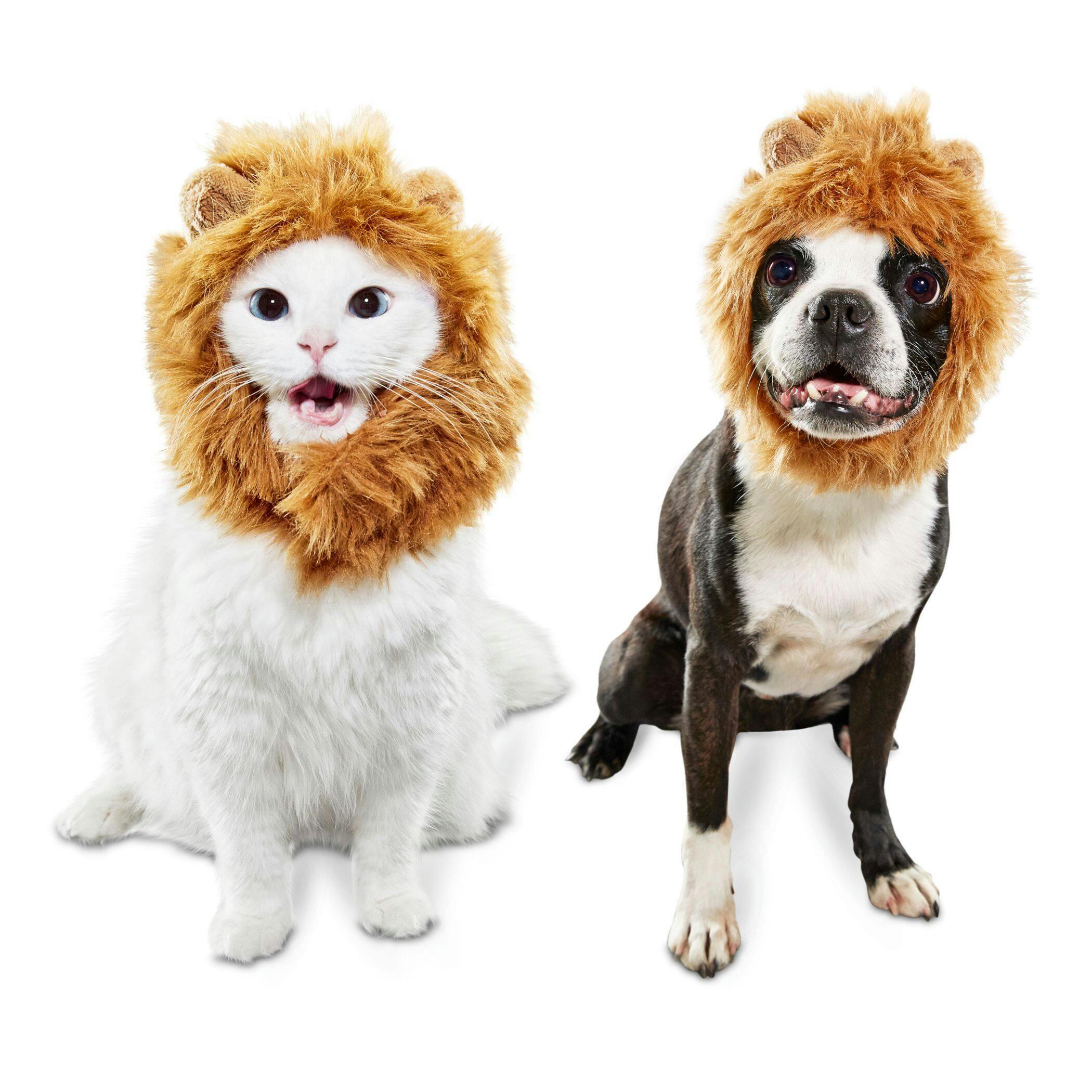 Bootique Mane Reign Lion Pet Headpiece Costume