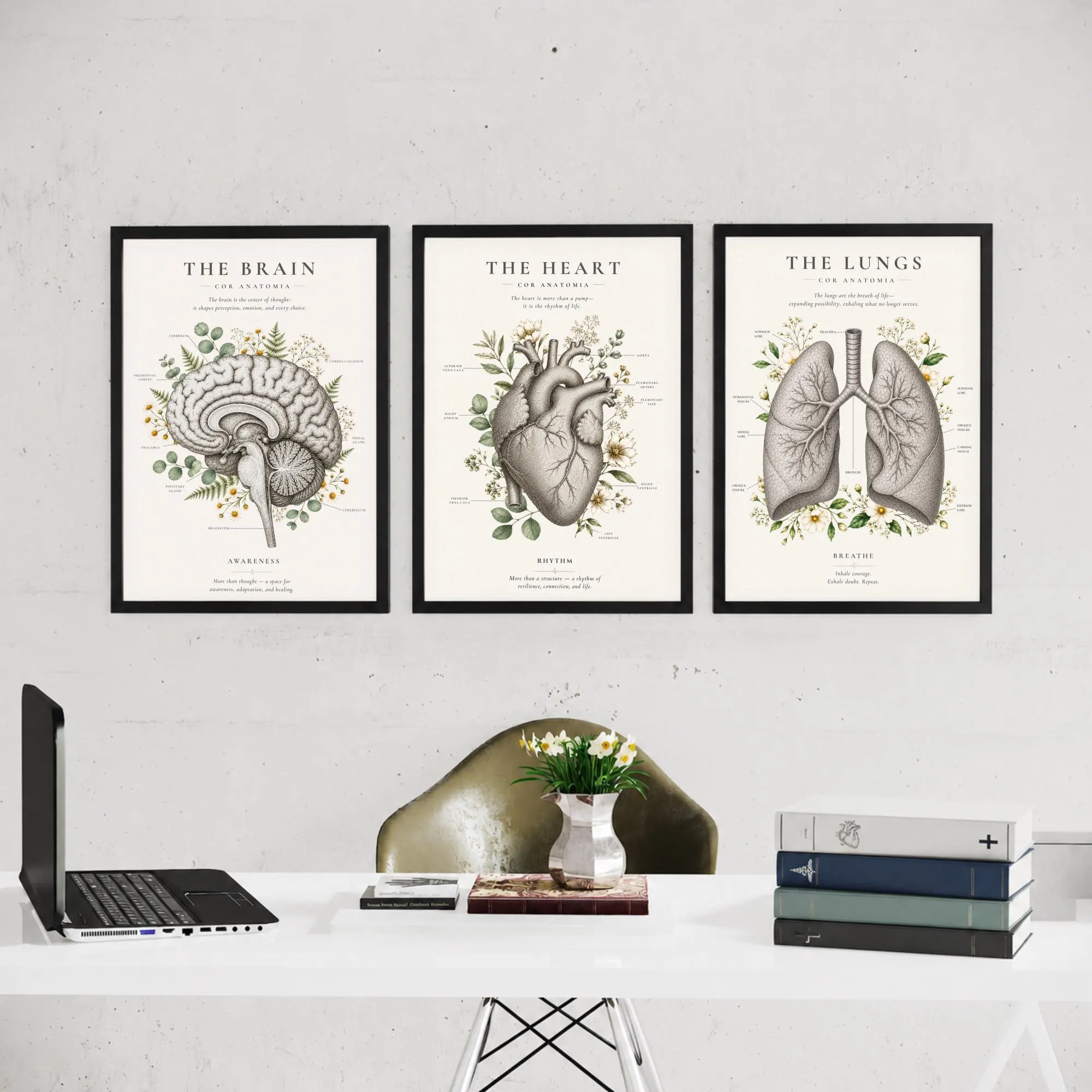 Framed Anatomy Wall Art Set, Botanical Heart, Brain, Lungs Prints