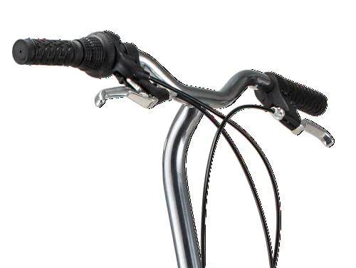 Schwinn Loop Adult Folding Bike for Men and Women, 20-inch Wheels, 7-Speed Drivetrain