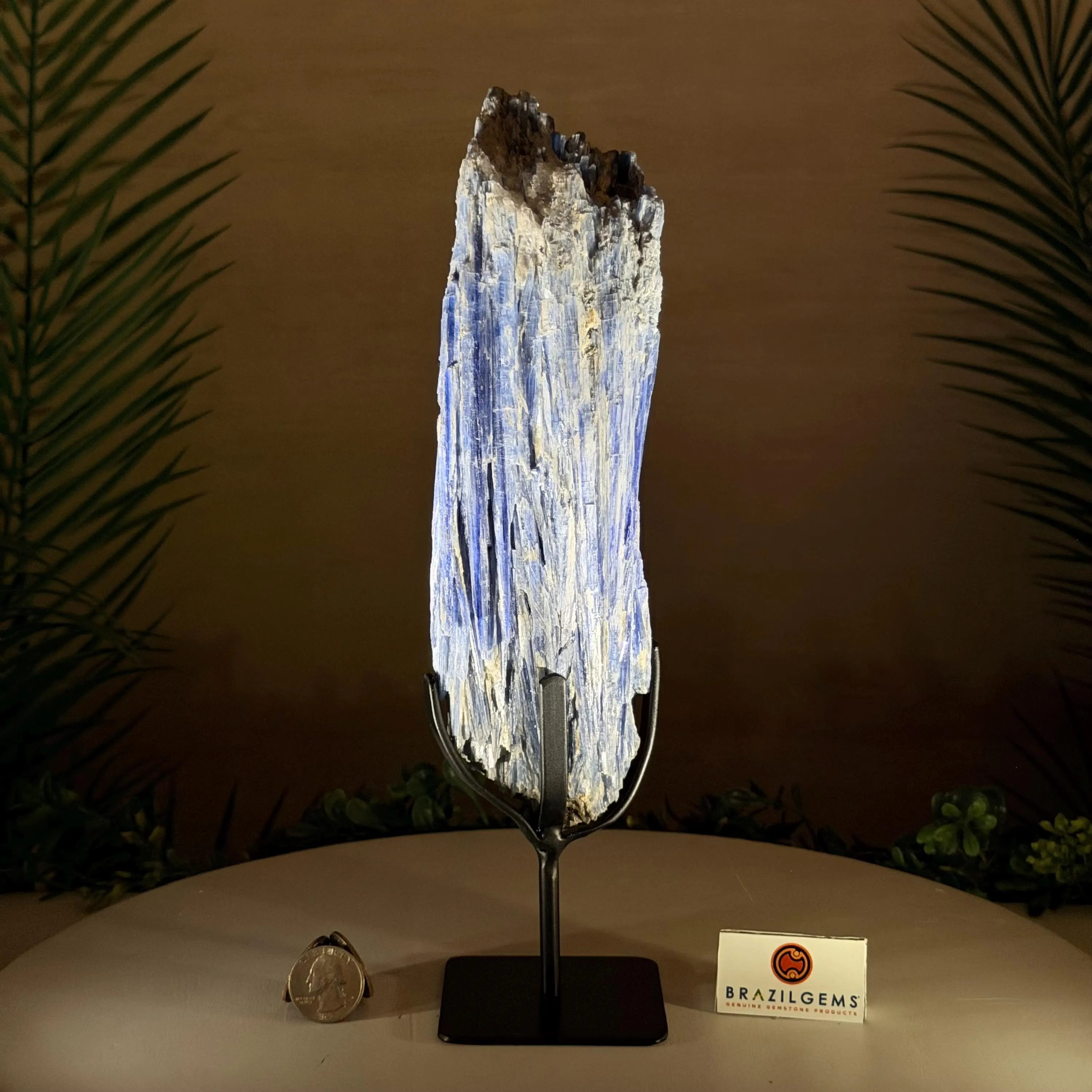 Kyanite Crystal on Stand, 3.6 lbs & 11.5 in Tall #6010-0047