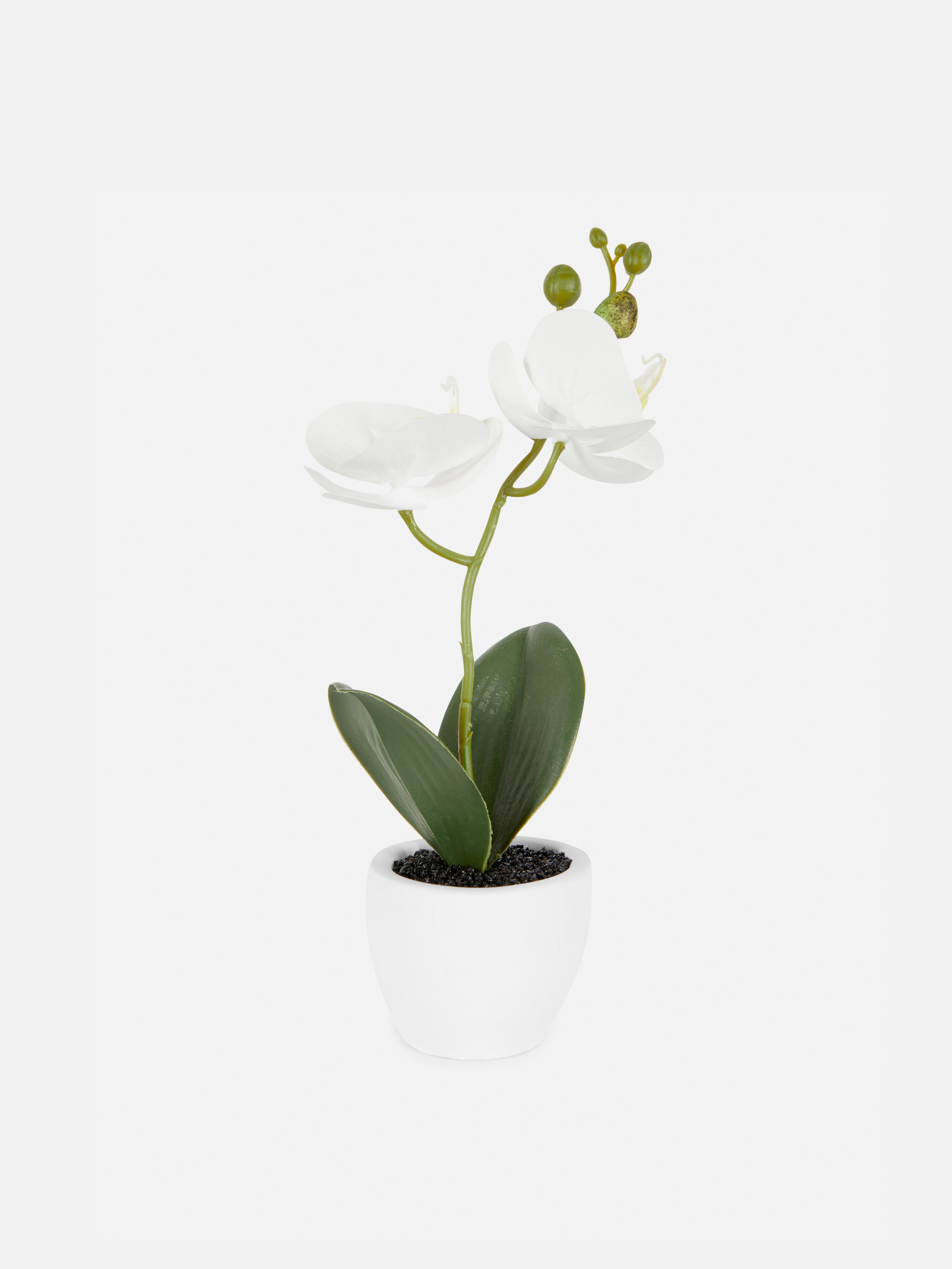 Small Potted Faux Orchid