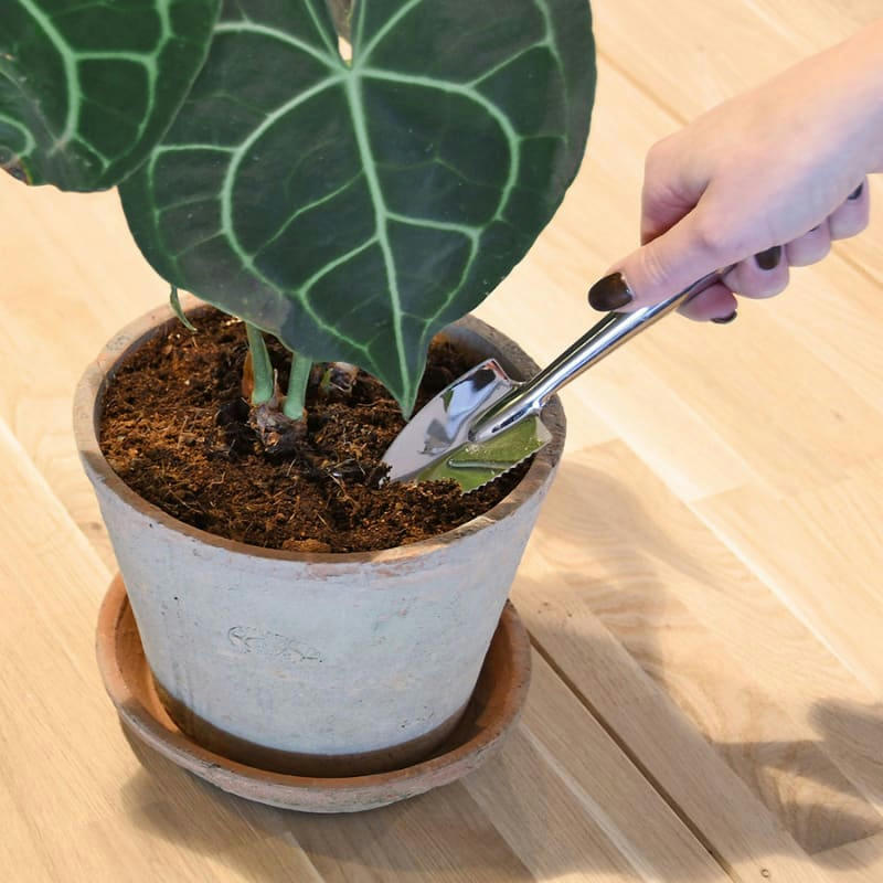 - Mini pelle inox Jardin intérieur