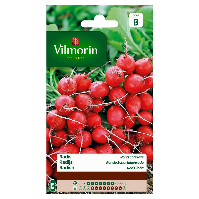 Semences de radis Rond Ecarlate 10 g VILMORIN