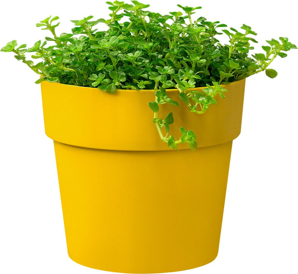 PLASTPOTTE ELHO B.FOR ORIGINAL Ø11CM ORCHE