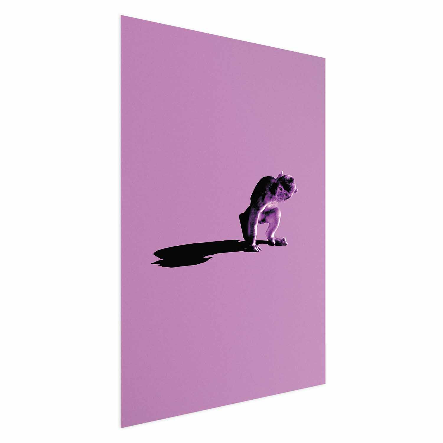 Plakat Mała małpka 21x30 cm