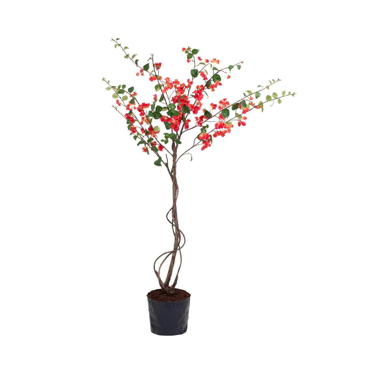 - Bougainvillier en pot artificiel rouge H213