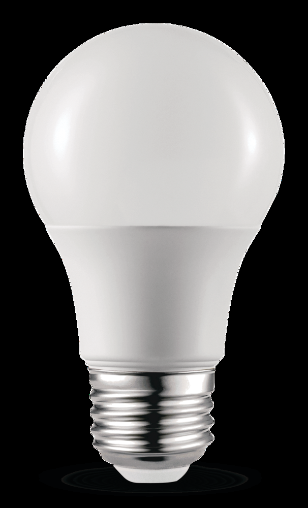 NOMA A19 E26 Base Non-Dimmable LED Light Bulbs, 800 Lumens, Daylight, 60W, 8-pk