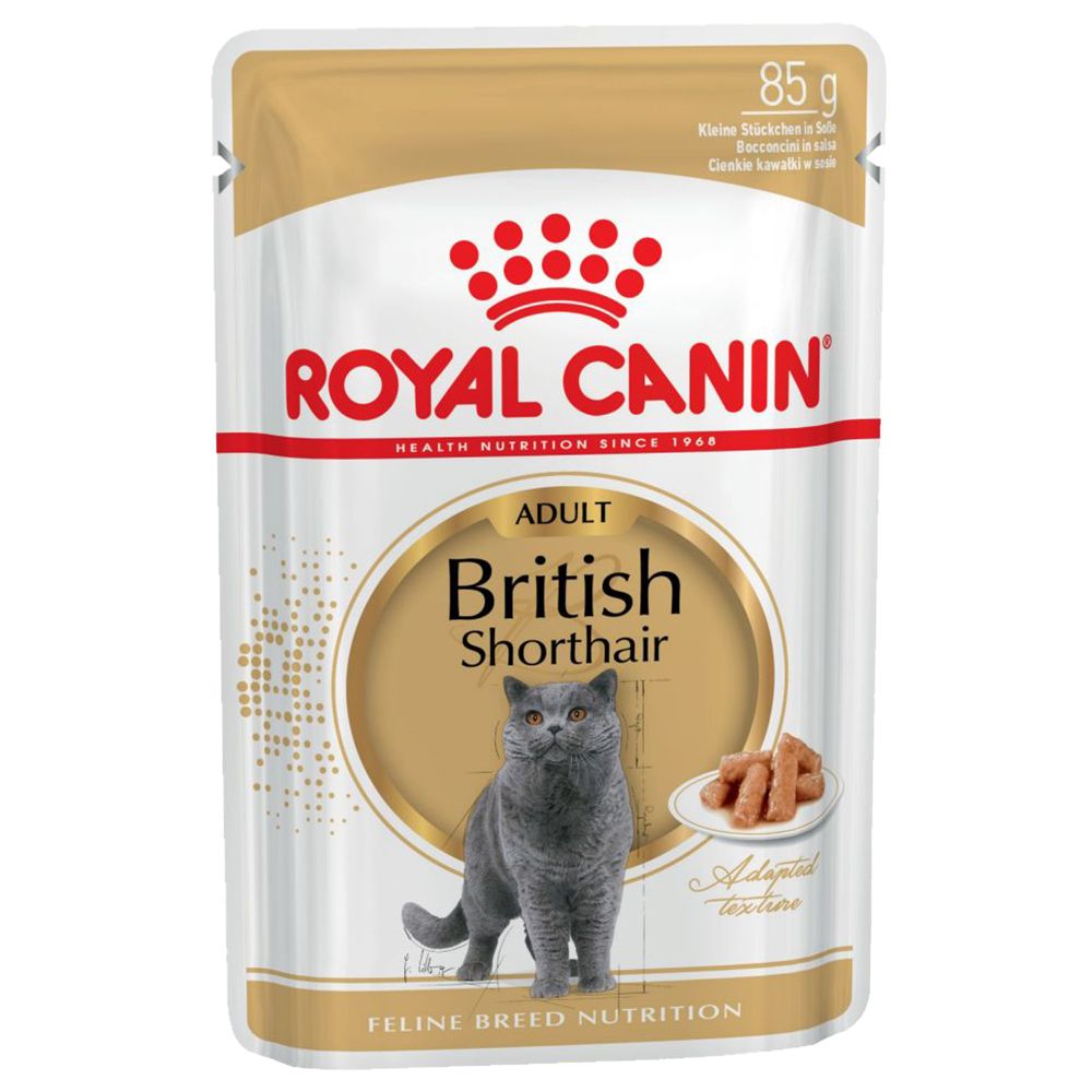 Royal Canin British Shorthair Adult in Gravy