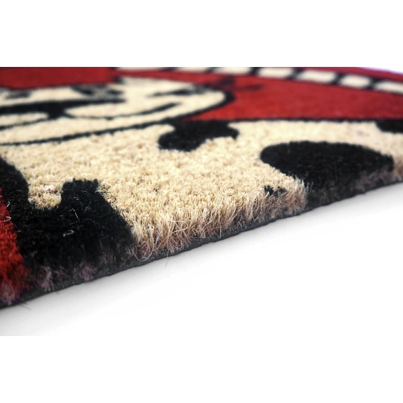 Fußmatte »Coco Fun«, Höhe: 1,4 cm, Rutschfest, Antibakteriell, Kokos