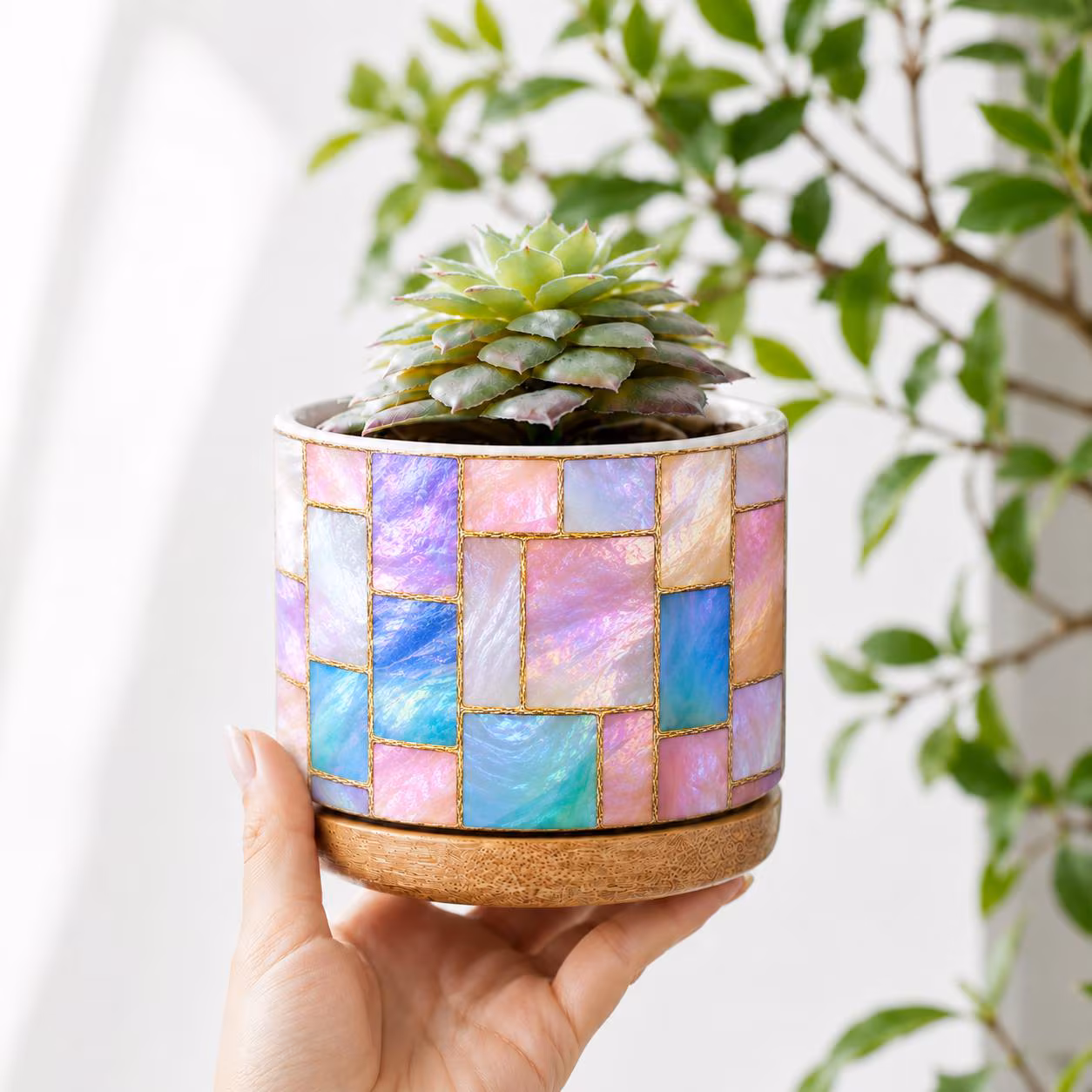 Succulent Planter Mother-of-Pearl Plant Pot, Patchwork Stained Glass Print Pot, Plant Lover Desk Decor, Gift For Her, Nature Lover Gift