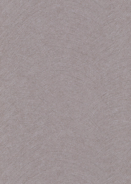Papier peint vinyle intissé uni beige taupe L.1005 x l.53cm, Erismann Flair