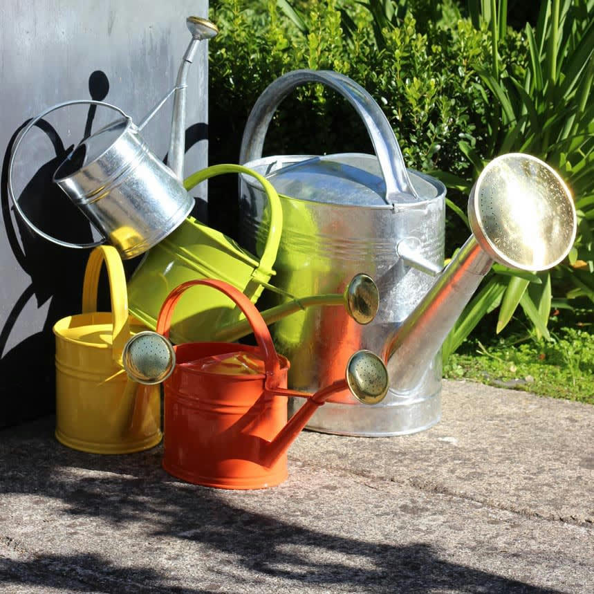 - Arrosoir acier galvanisé avec pomme 13 litres