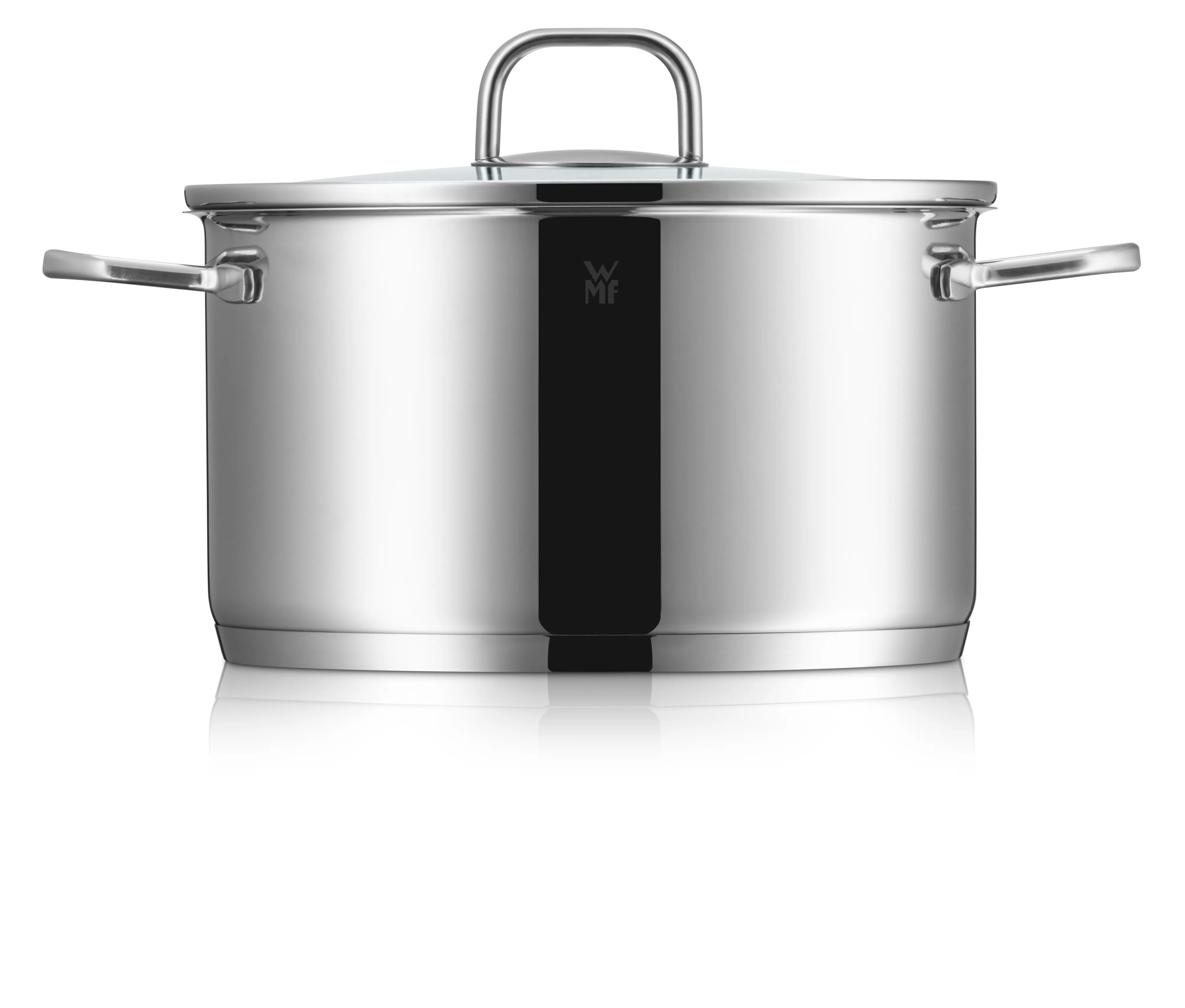 WMF Inspiration Soup Pot 20 cm with lid