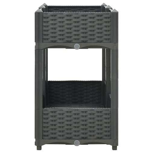 NNEVL Raised Bed 80x40x71 cm Polypropylene