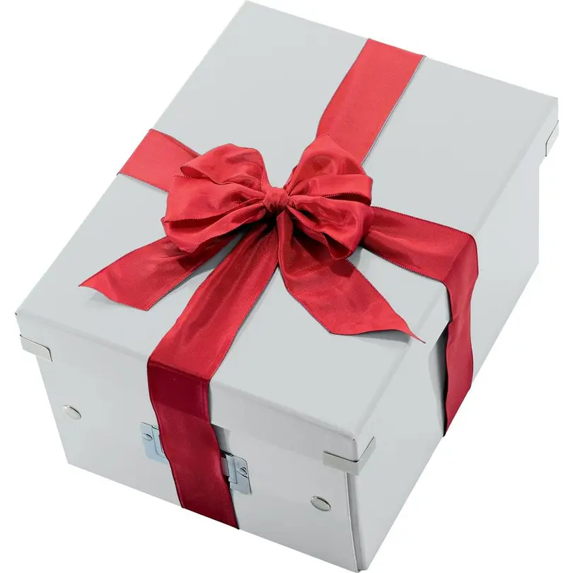 Aufbewahrungsbox Click & Store