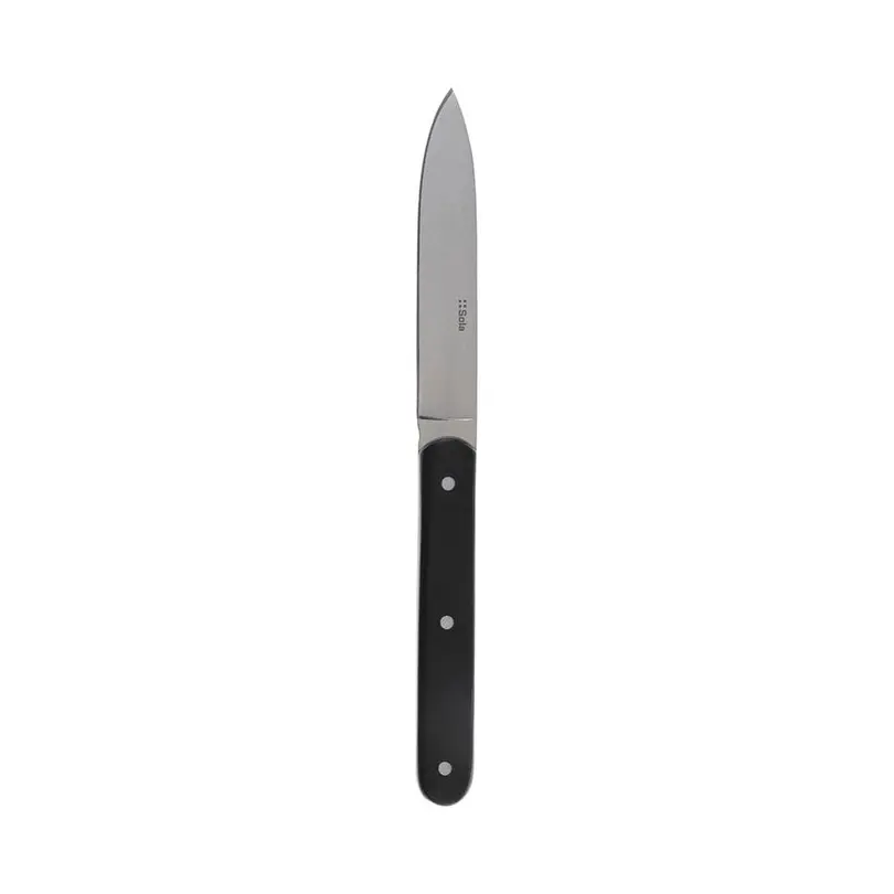 Steakmesser Bagotta