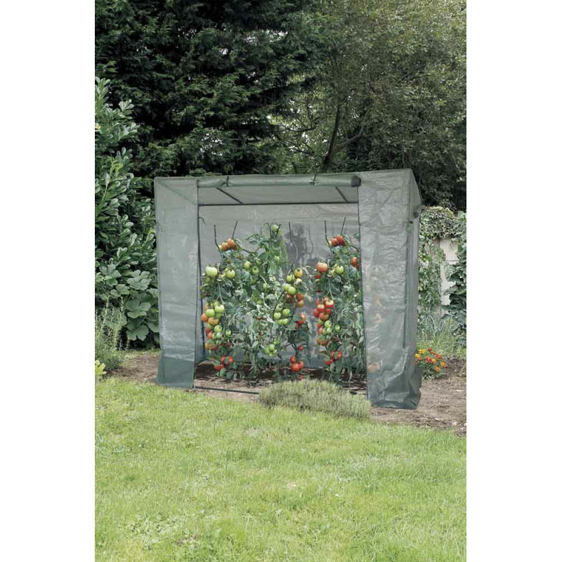Serre Tomatillo 200 x 77 x 169 m NORTENE