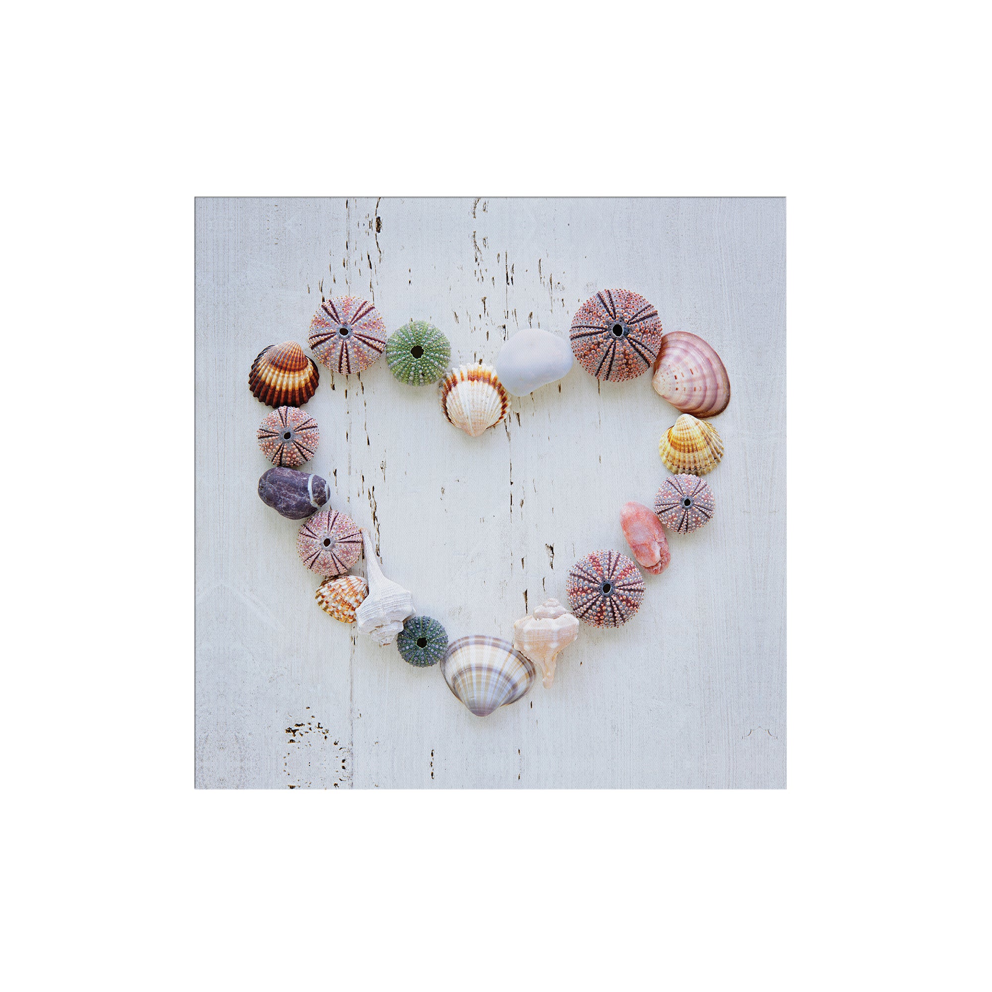Art for the Home Buitencanvas - Schelpenhart - 50x50cm