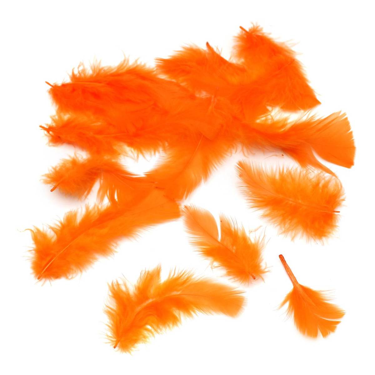 Orange Craft Feathers 5g