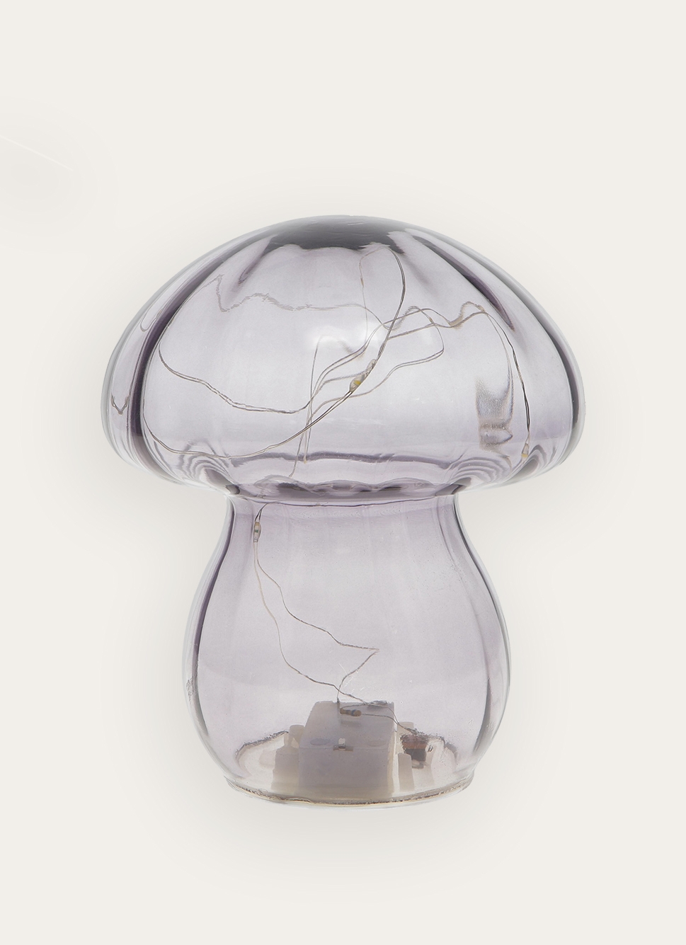 CHAMPIGNON LUMINEUXGRIS