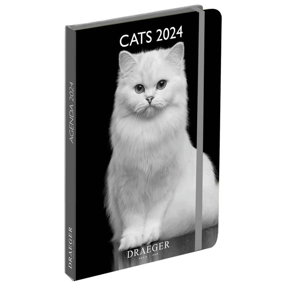 - Agenda de poche 2024 - Chats noir et blanc
