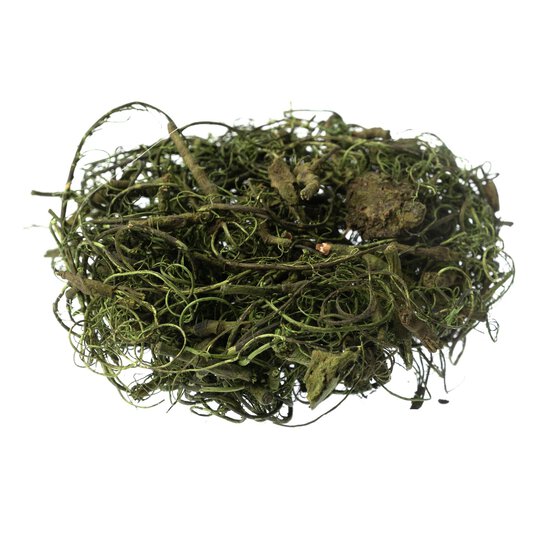 Green Curly Moss 25g