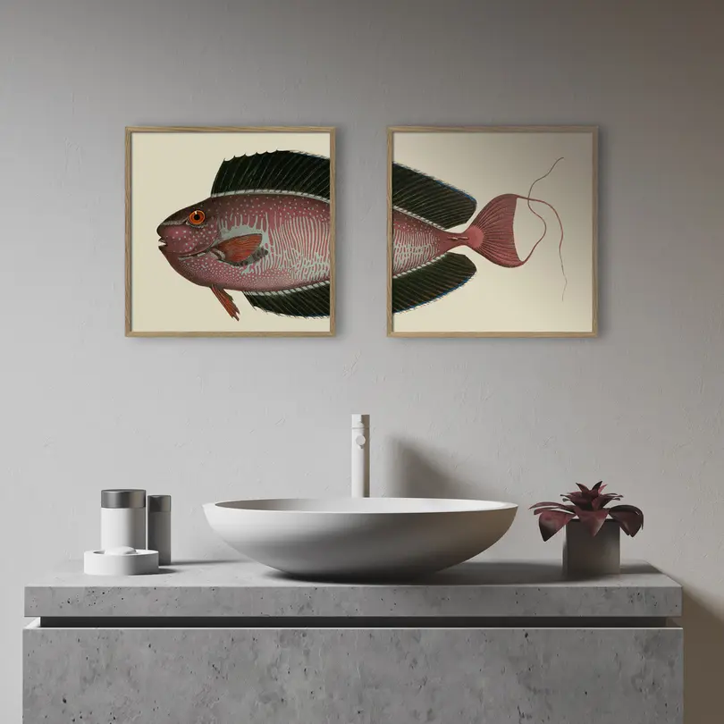 Bild mit Rahmen Botanical