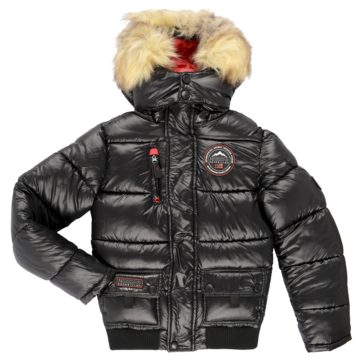 Geographical Norway - BUGS - Black