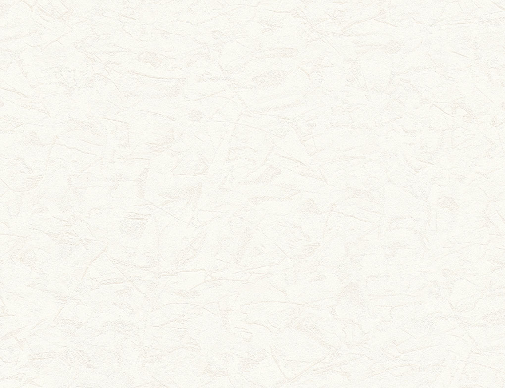 Vliestapete Putzstruktur Naturweiß