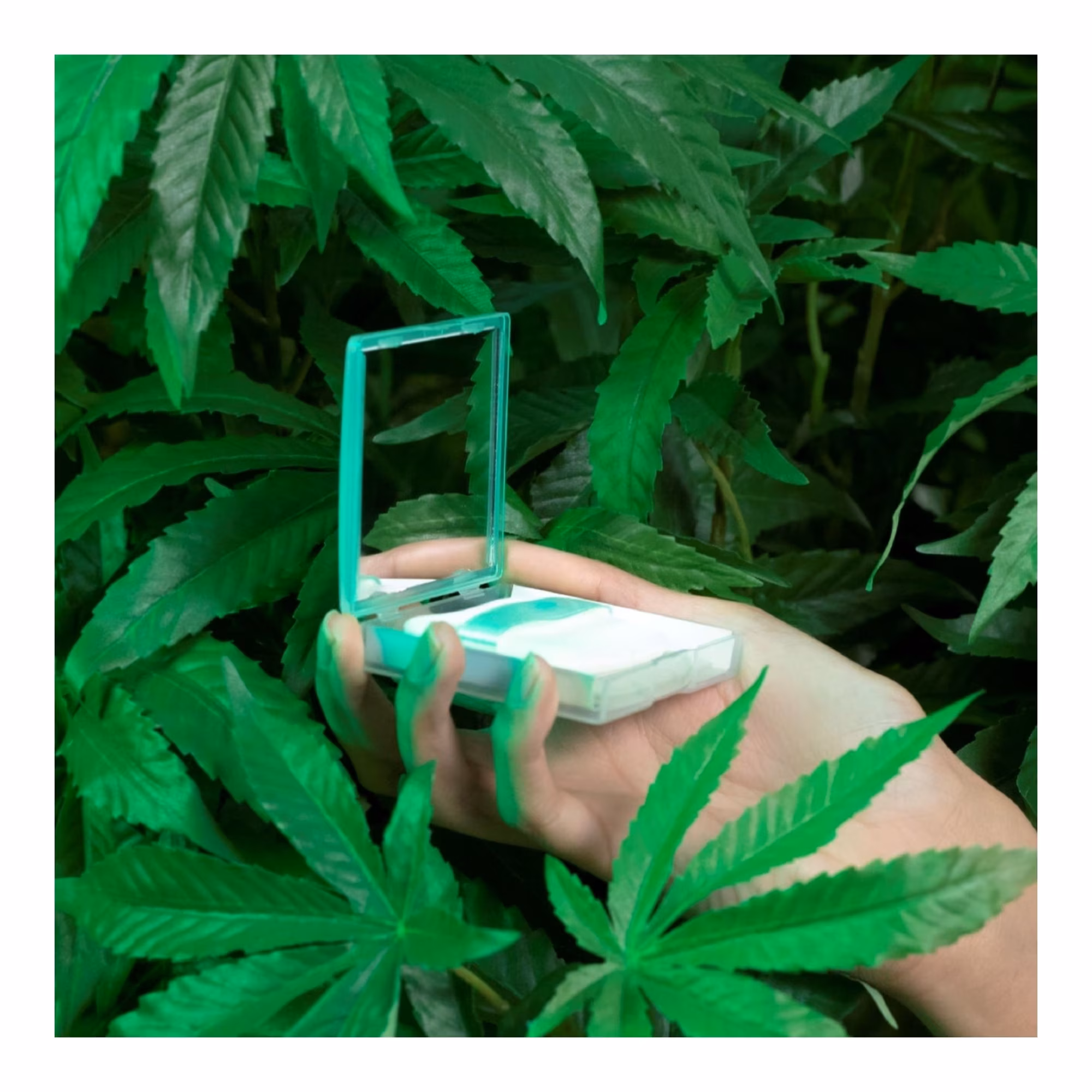 MAGIC PLANTSPapier matifiant