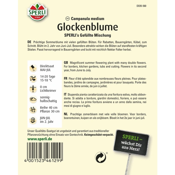 Glockenblumen »SPERLI's Gefüllte Mischung«, zweijährig, Marienglockenblume, Höhe ca. 80 cm