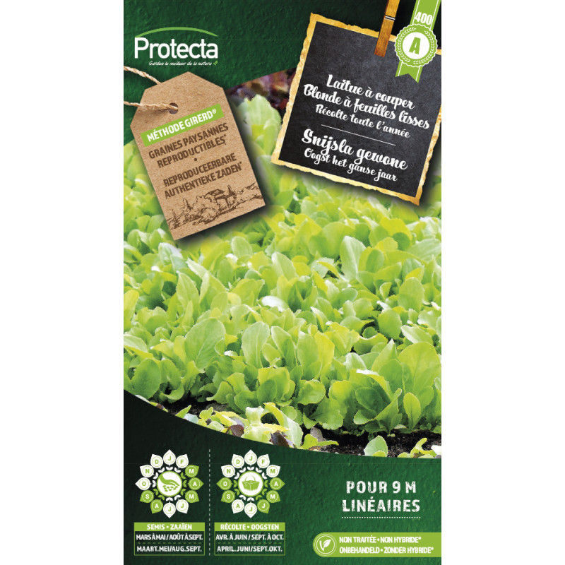 Semences de laitue à couper Blonde à feuilles lisses PROTECTA