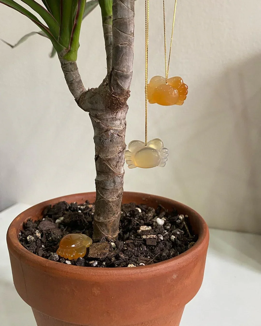 Zodiac collection | Cancer — Jade Stone Necklace