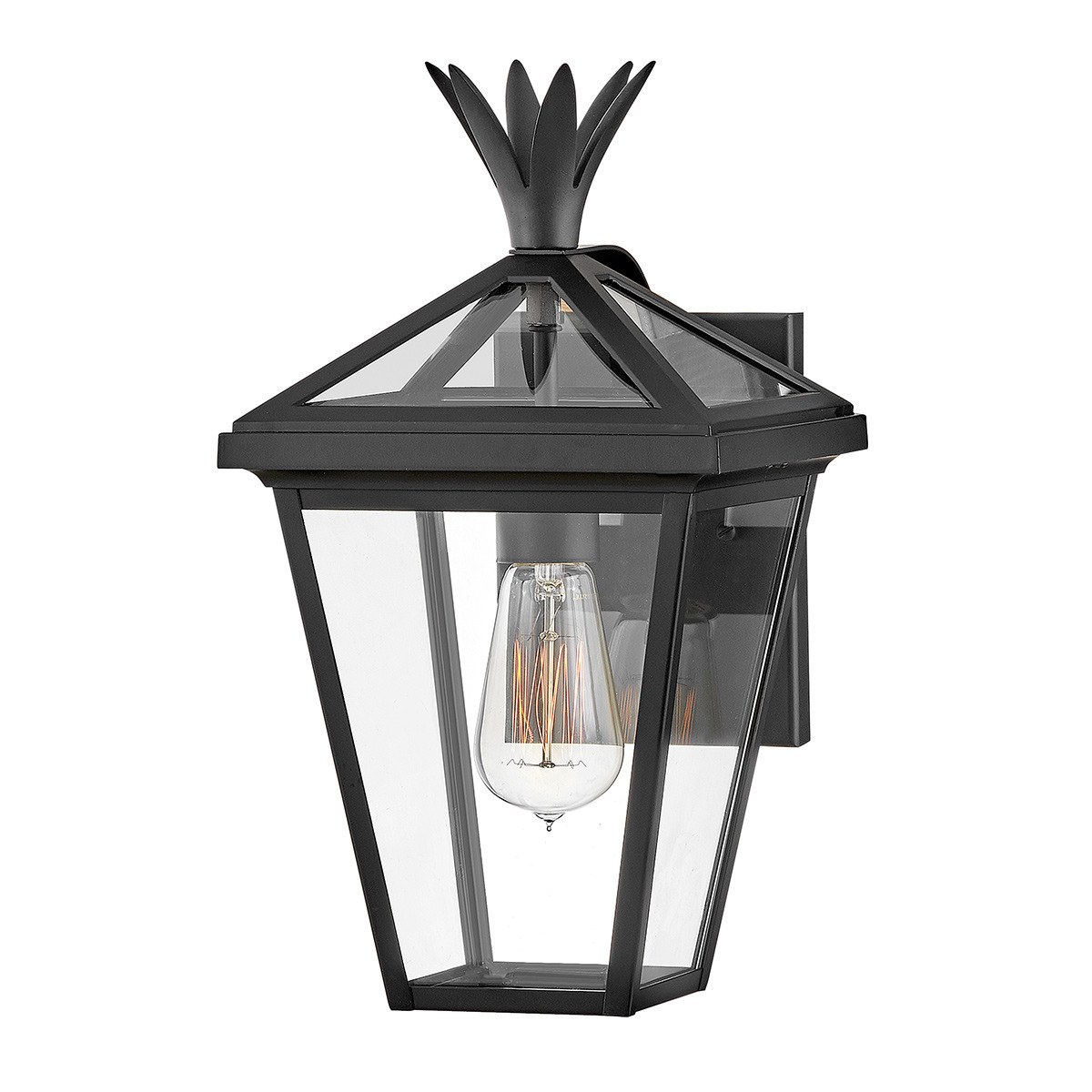 Kinkiet zewnętrznyczarno-przezroczysty PALMA 1xE27x60W IP44 Hinkley
