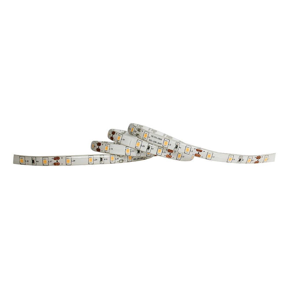 LED STRIP ECOLITE NABOO HIGH 5M