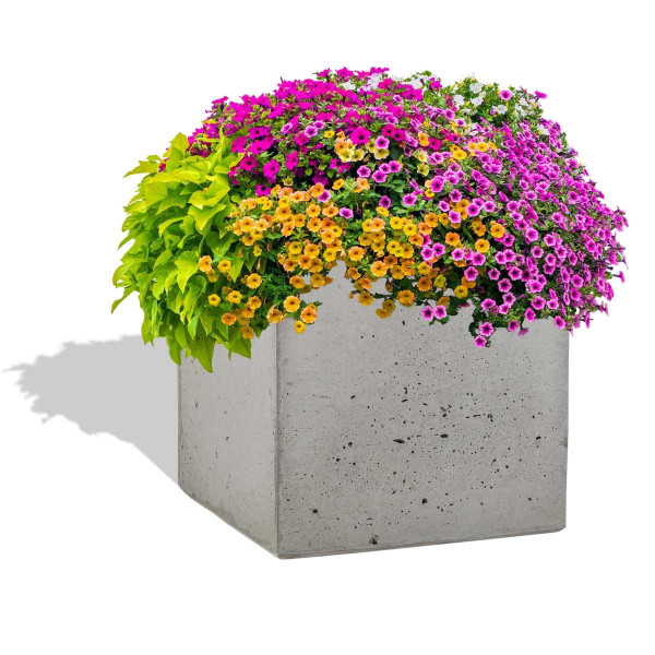 Donica Betonowa Zewnętrzna Zadora BOX M 45x45x45 szary naturalny