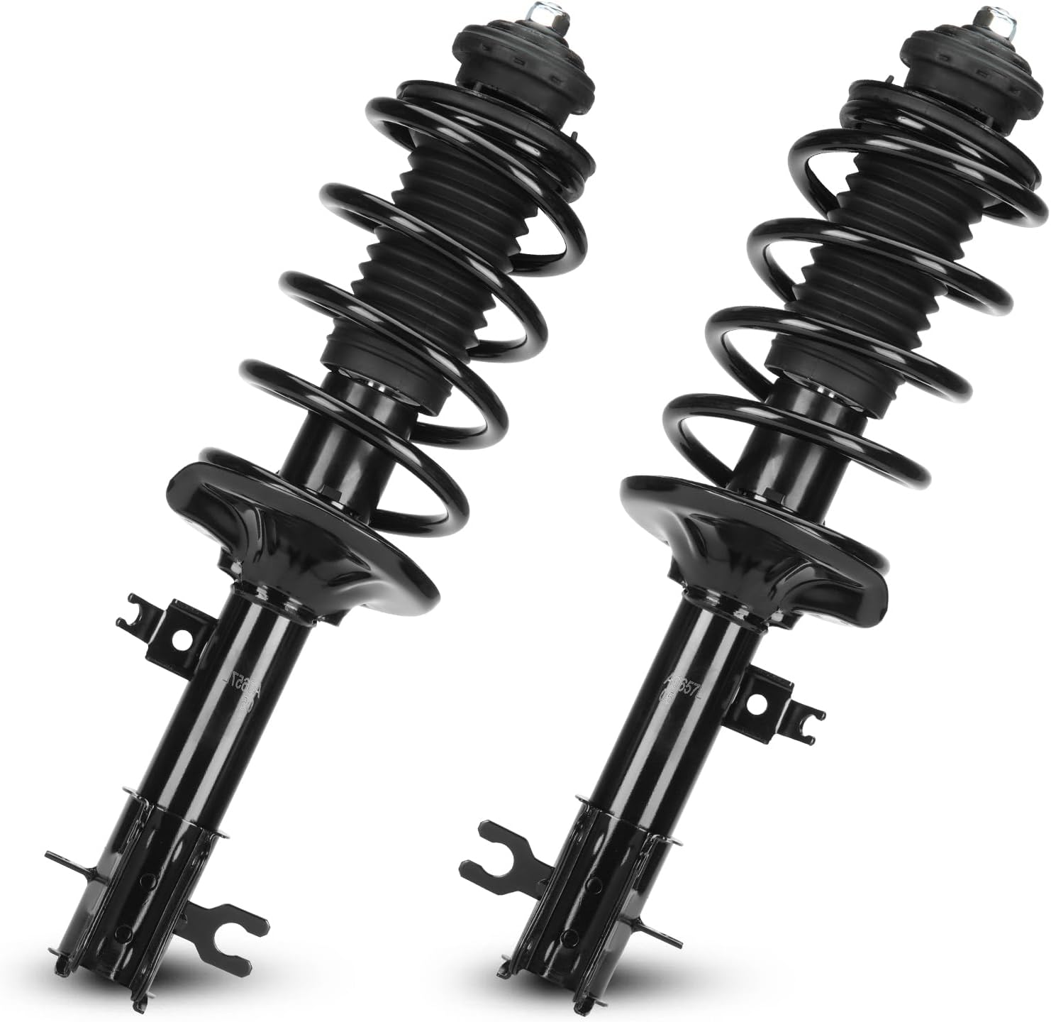 Struts