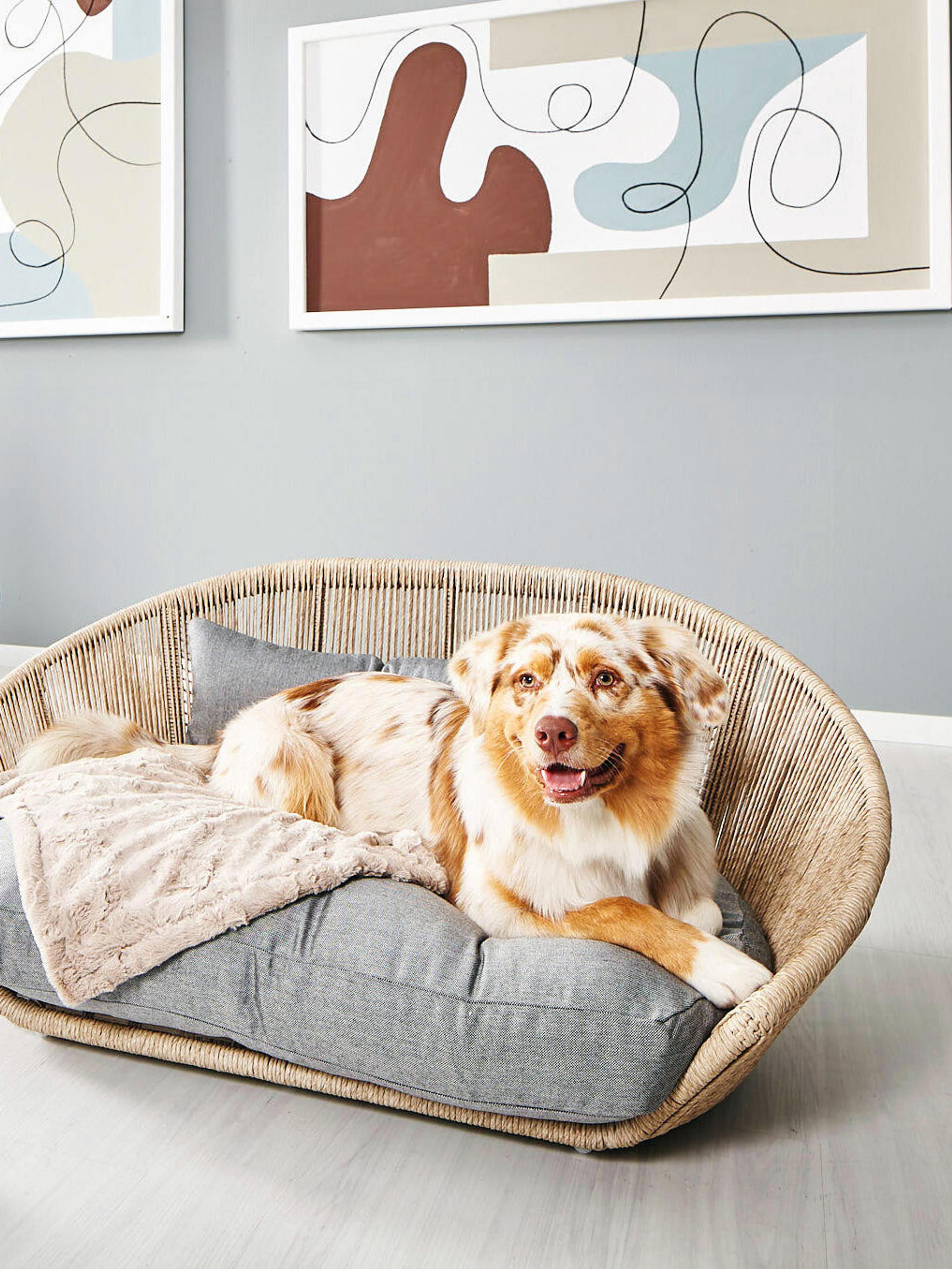 In- & Outdoor-Hundebett Vogue