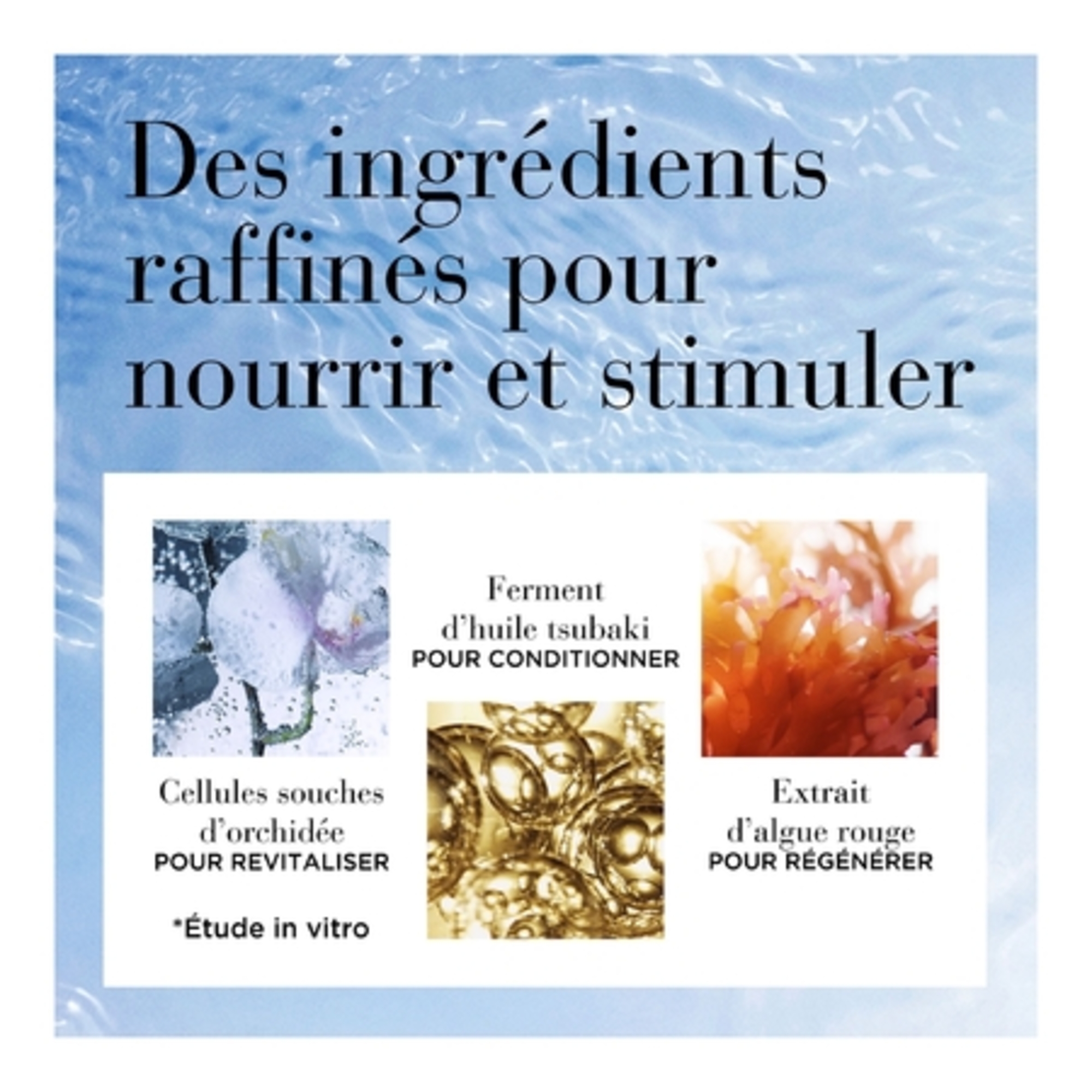 CERAMIDEMicro-capsules essence régénératrice