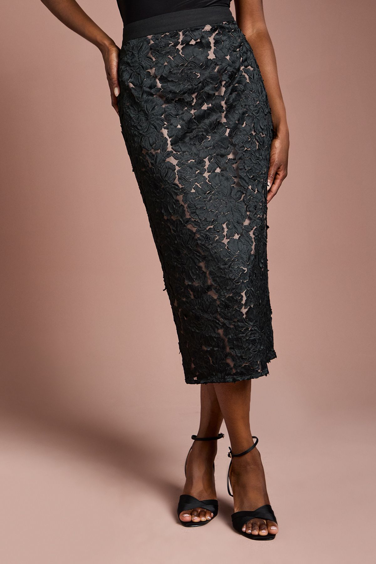 Coast Cutwork Embroidered Mesh Pencil Skirt
