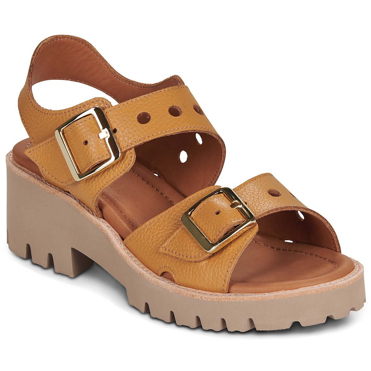 Casta - CASSY - Camel
