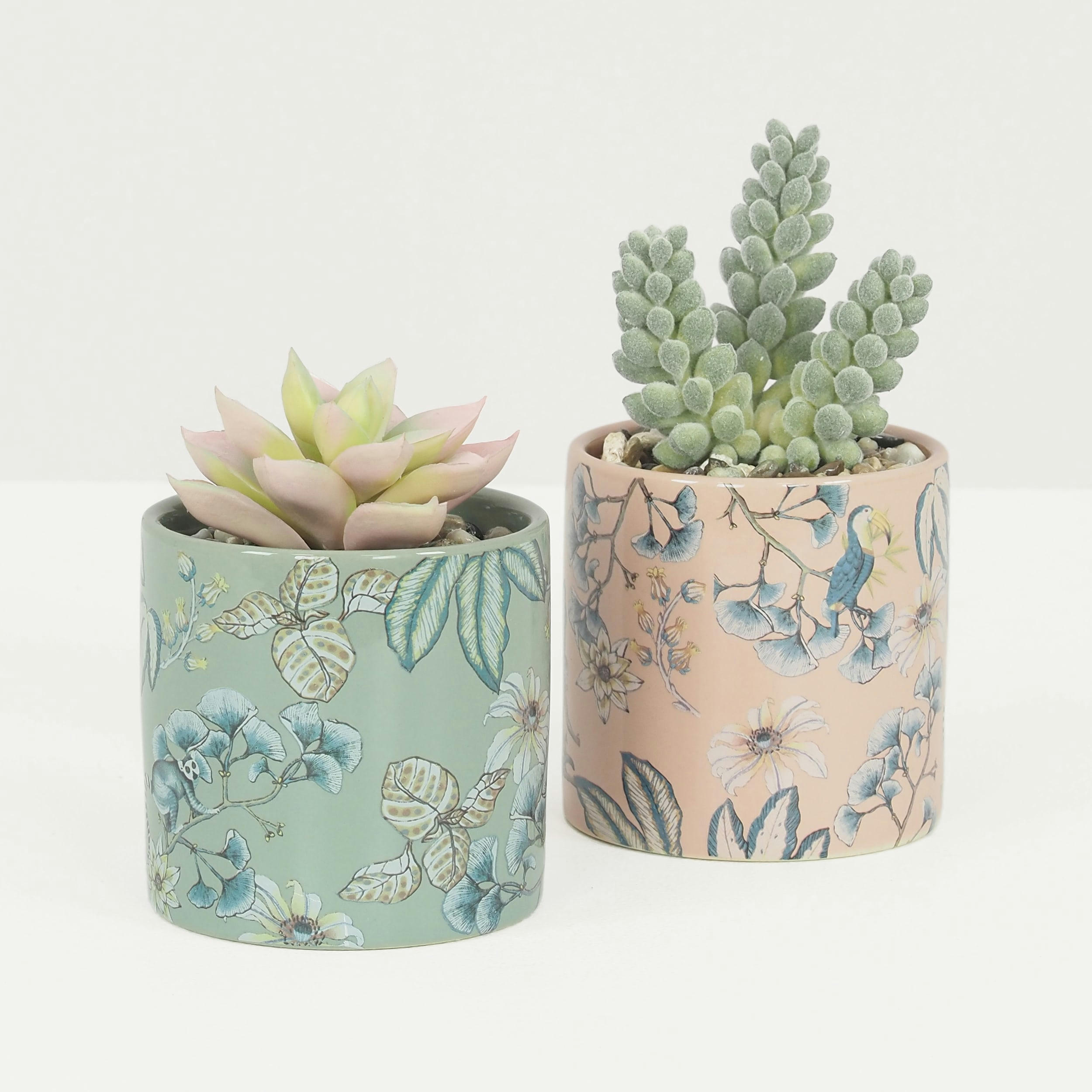 - Succulentes artificielles 10cm lot de 2