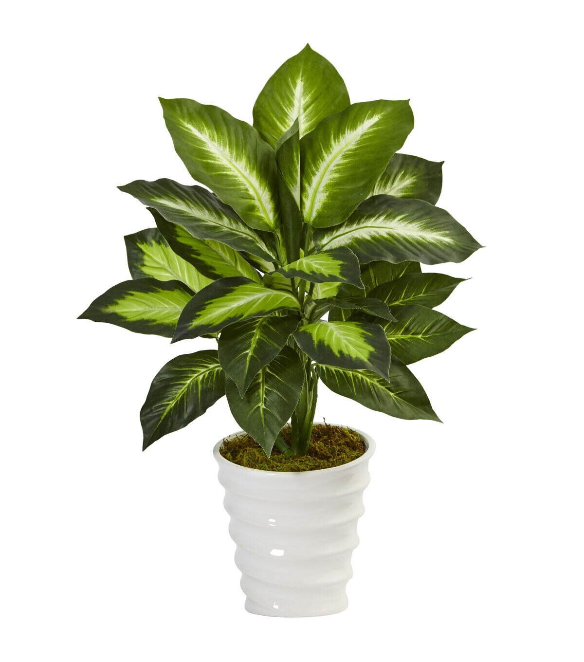 Nearly Natural Dieffenbachia Plant in Swirl Planter