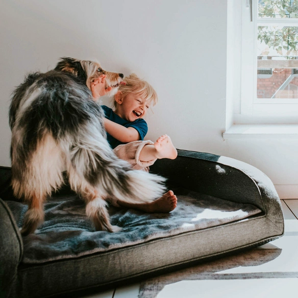 Hunde-Sofa, BxHxL: 80 x 30 x 100 cm, anthrazit