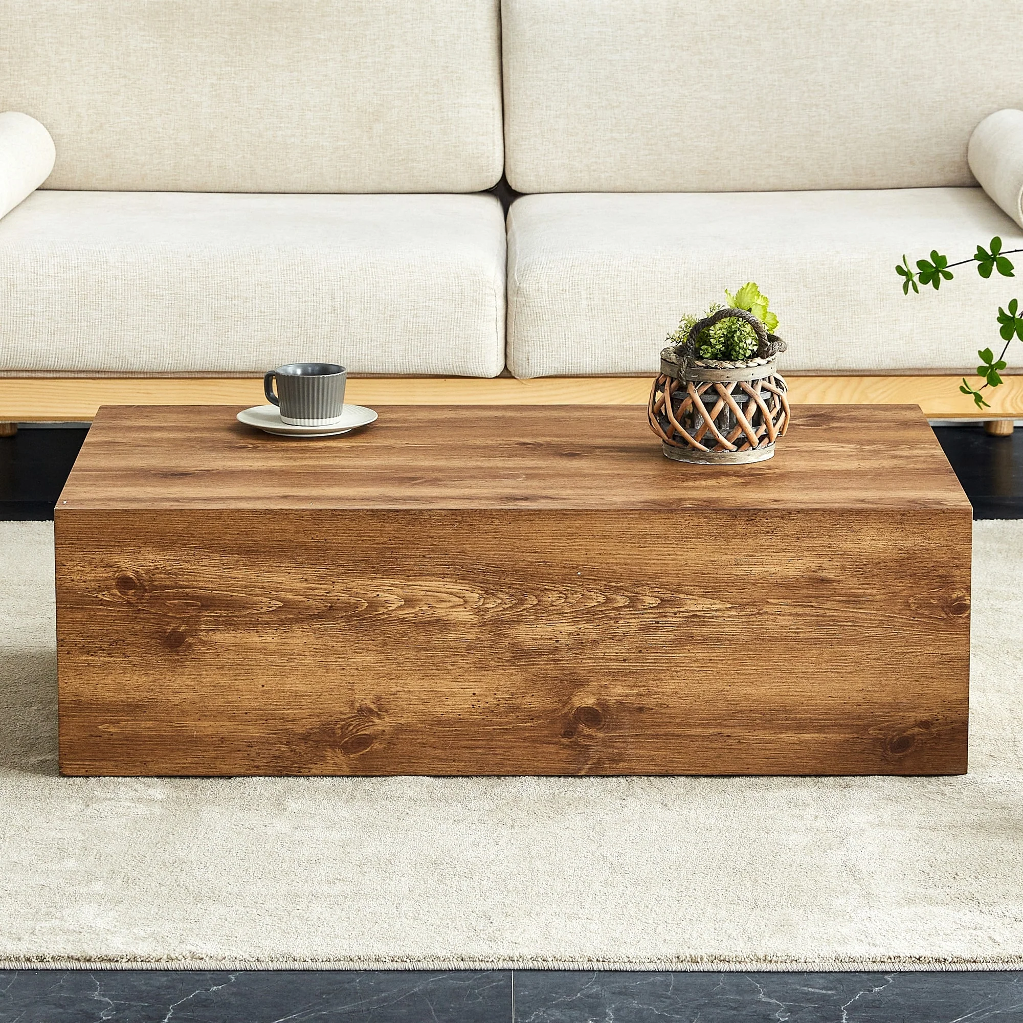 Modern Rectangular Coffee Table