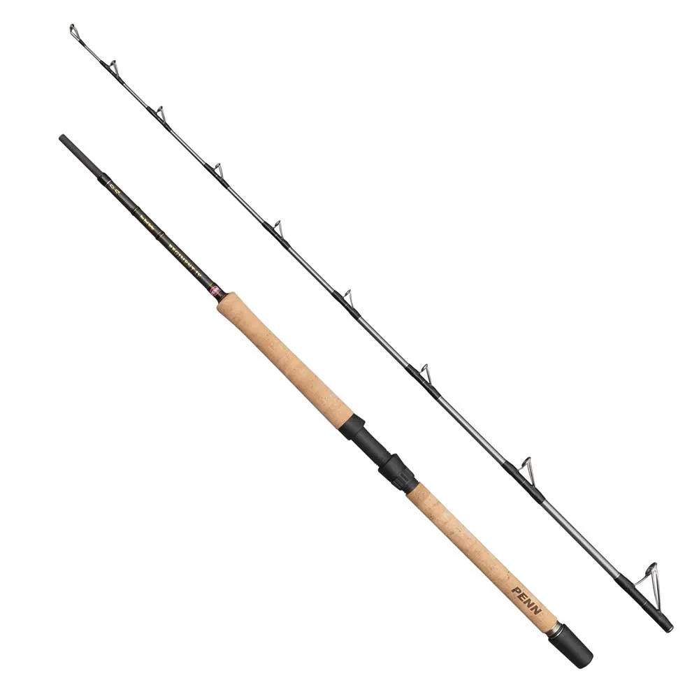 PENN Regiment IV Pro Boat spinning rod
