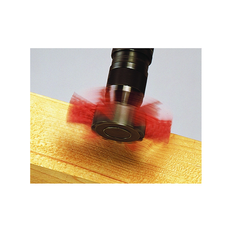 Brosse soucoupe à gros grain Ø 100 mm WOLFCRAFT