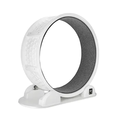 Modern Living Singapore Cat Exercise Wheel